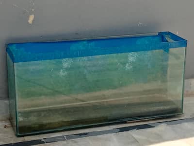 4ft glass aquarium and height 2 ft perfect condition
