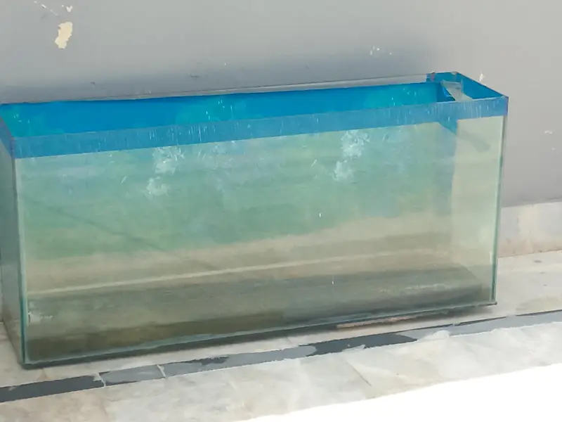 4ft glass aquarium and height 2 ft perfect condition — photo 2