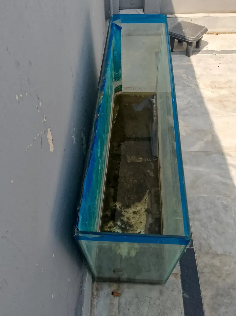 4ft glass aquarium and height 2 ft perfect condition — photo 3