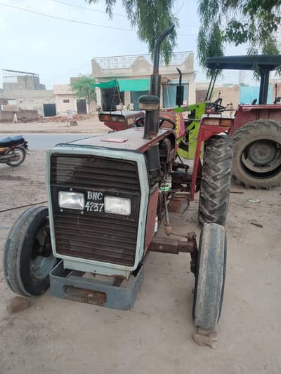 Massi 240