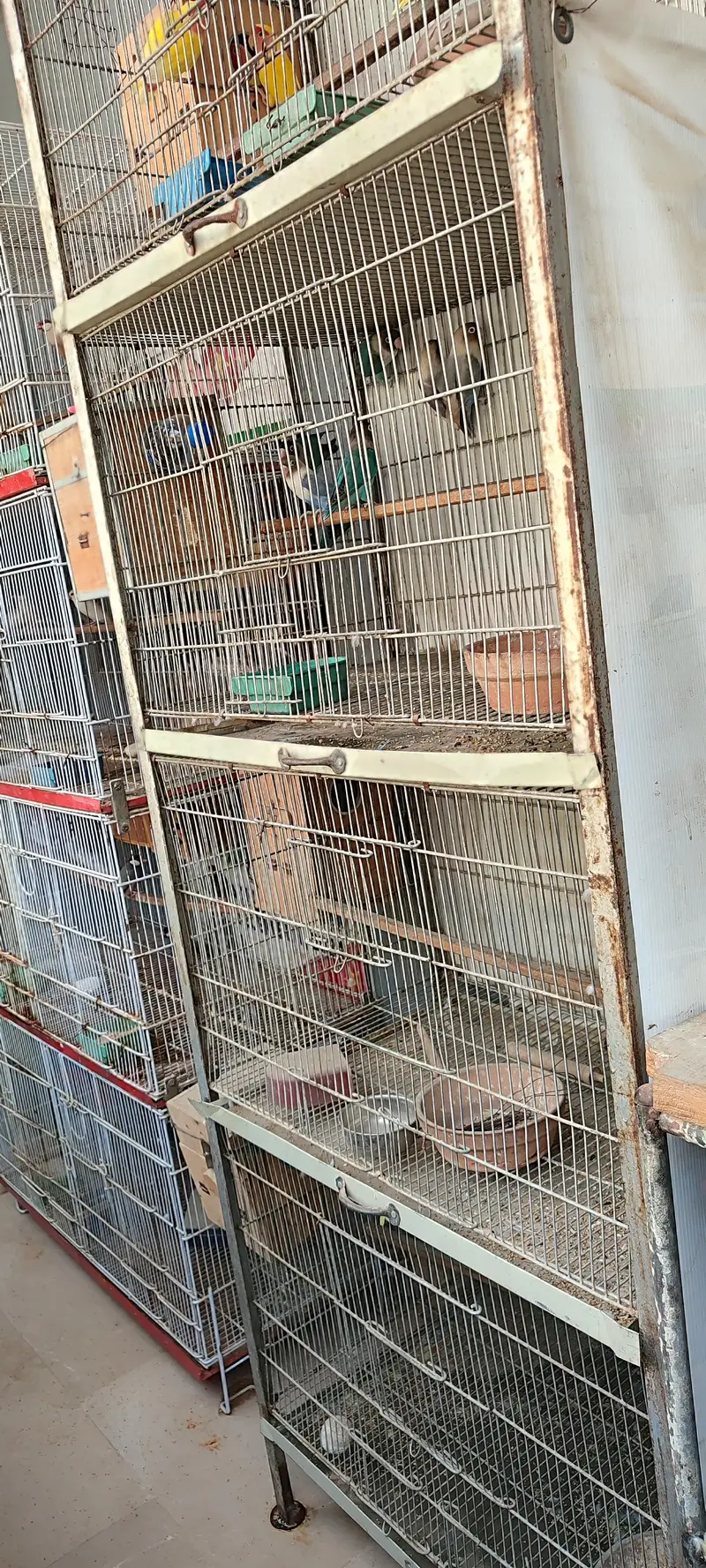 Good quality Birds Cages for Sale — photo 2