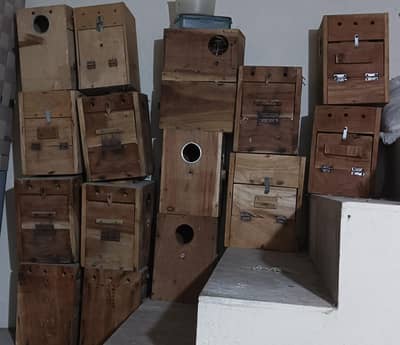 Love Birds, Boxes and Accessorie