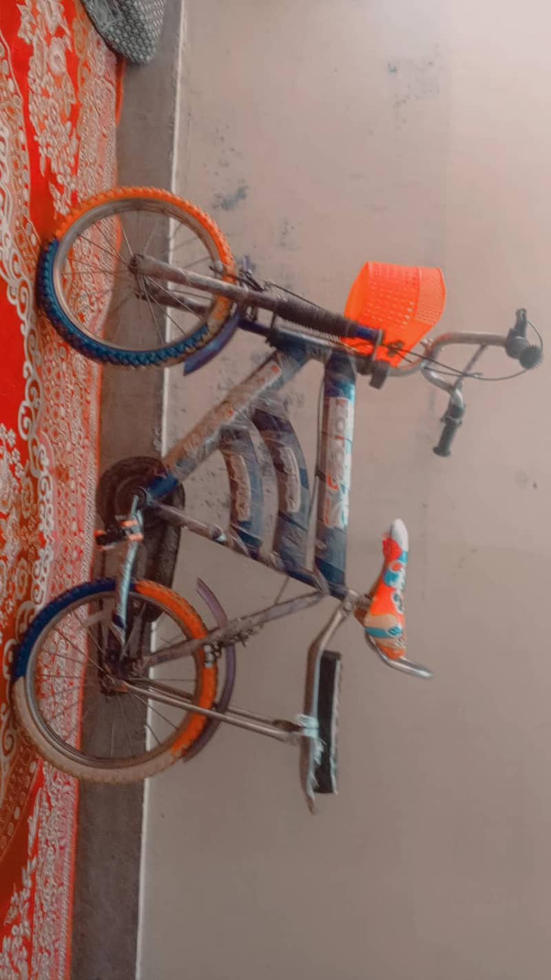 Cycle 0