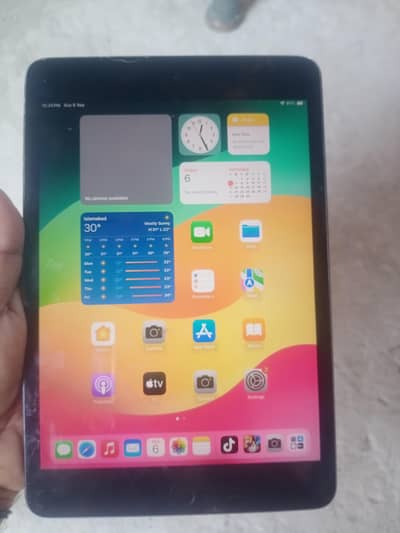 ipad mini 5