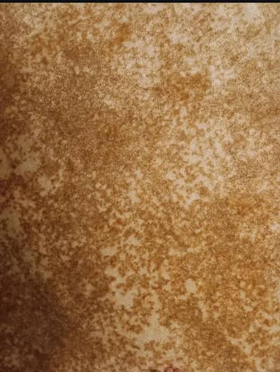 Beautiful Carpet Perfect condition