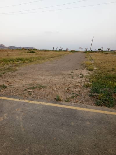 5 Marla Pair Plot For Sale
