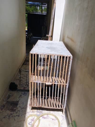 Cage Pinjra