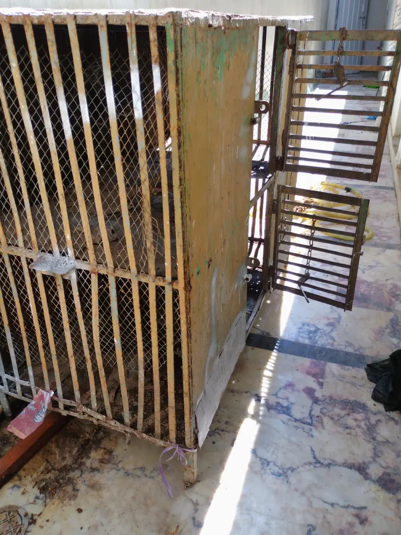 Cage Pinjra — photo 2