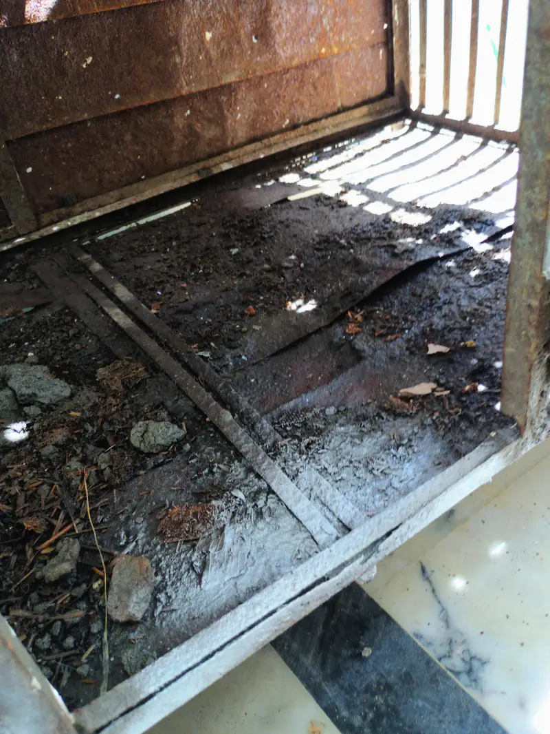 Cage Pinjra — photo 3