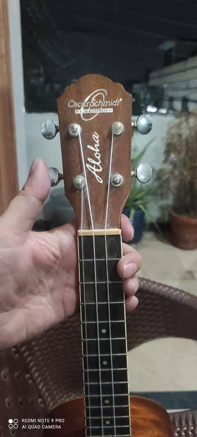 one gitar for sail