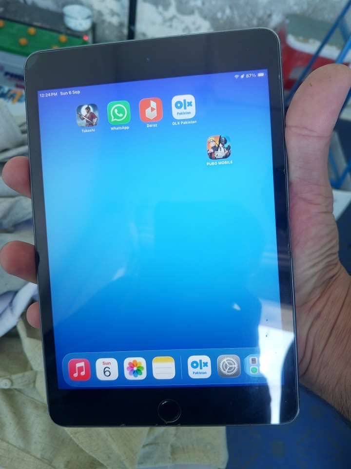 IPad mini 5 6