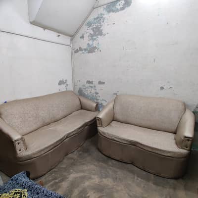 modern 6 seater skin color