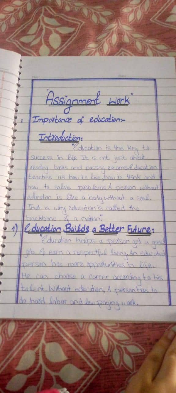 Assignment/thesis/cv writting 0