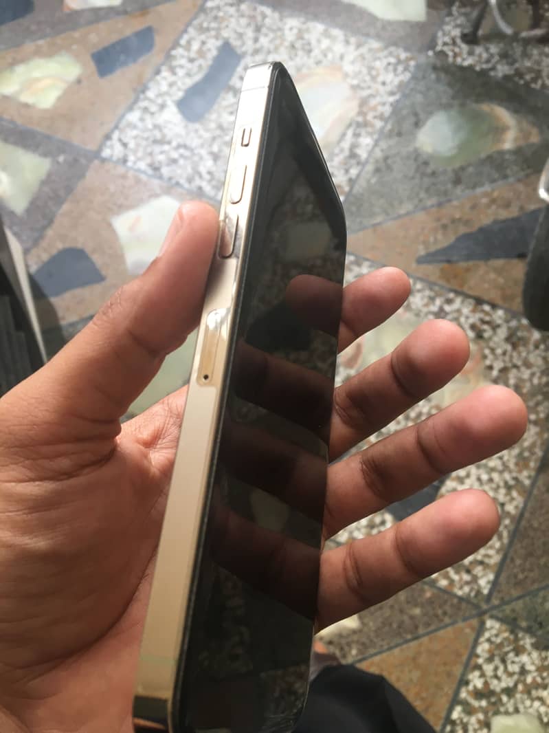 Apple iPhone 14 Pro Max 1