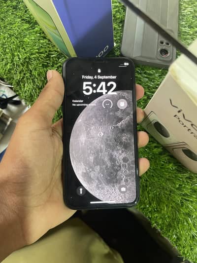 Apple iPhone X