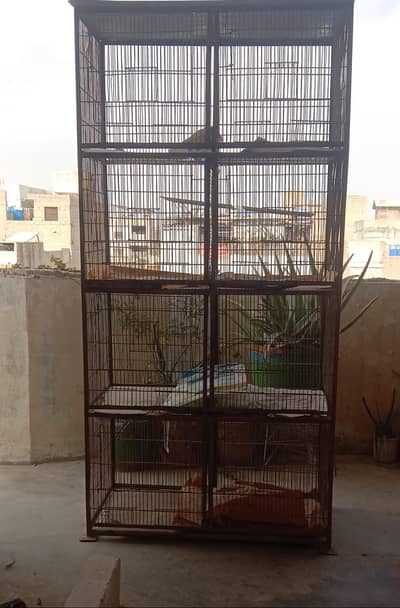 2 CAGES 8/12Course meal