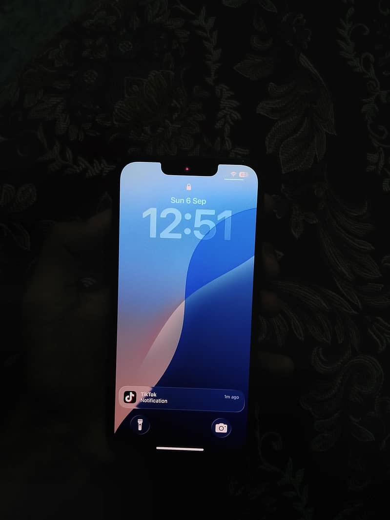 iPhone 13 Nonpta 5