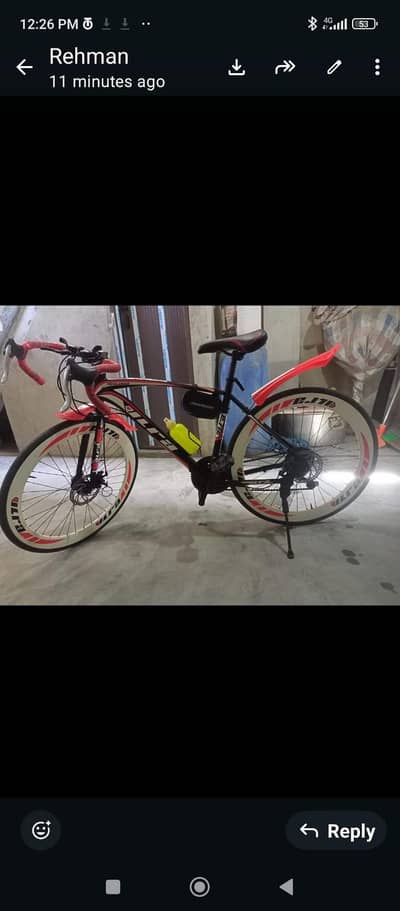 Racing Cycle