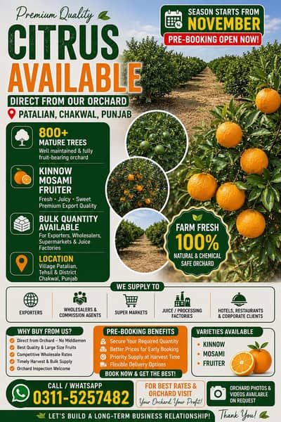 800+ Tree Citrus Crop for Pre-Bookings | Kinno, Mosami& Fruiter