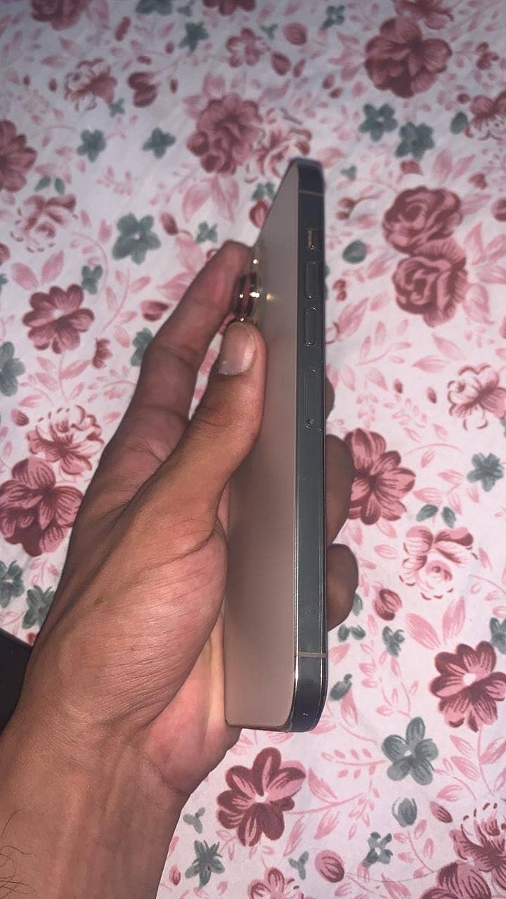 Apple iPhone 13 Pro Max 0
