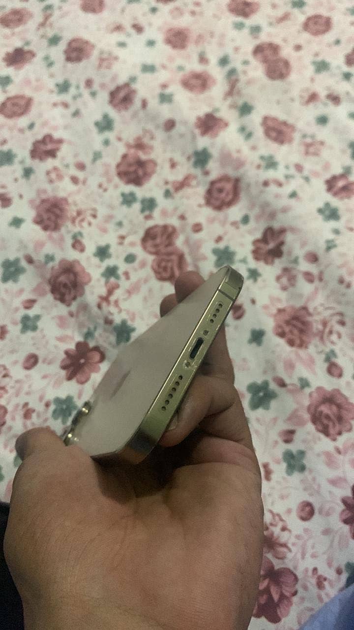 Apple iPhone 13 Pro Max 2