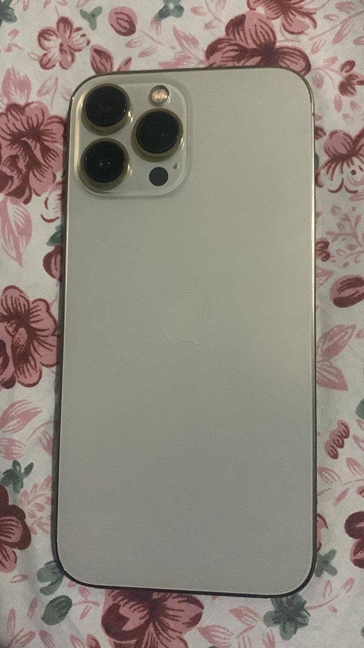Apple iPhone 13 Pro Max 3