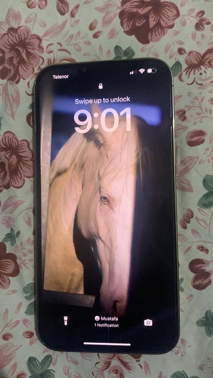 Apple iPhone 13 Pro Max 4