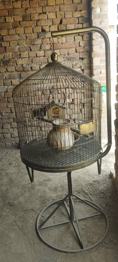 birds cage home use