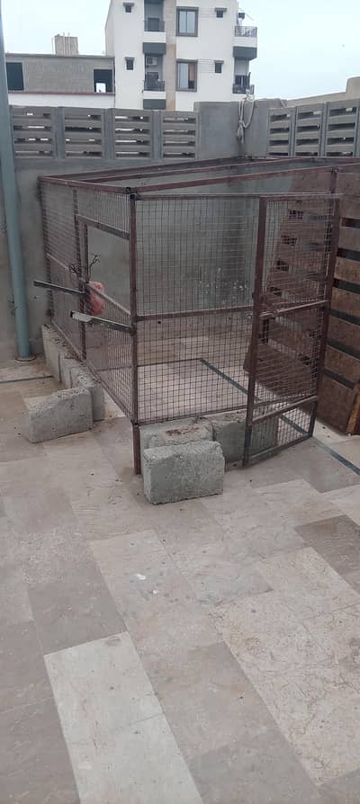 Cage Pinjira For Sale Best For Bakra & Hen Parrots
