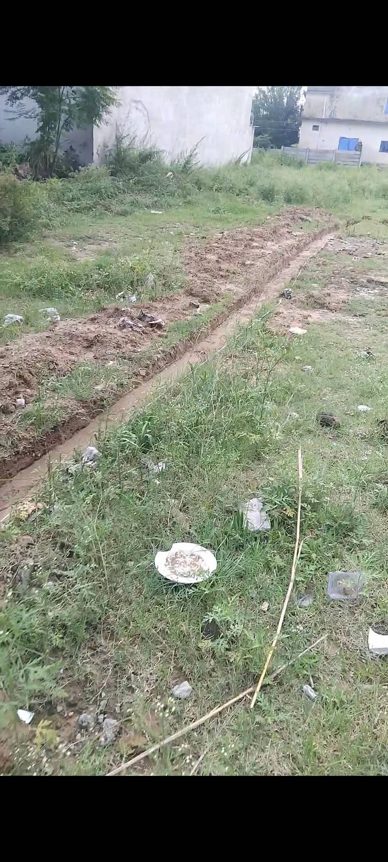 N Block  street 31 plot 4 2