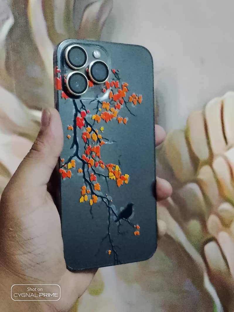 Apple iPhone 13 Pro Max 1