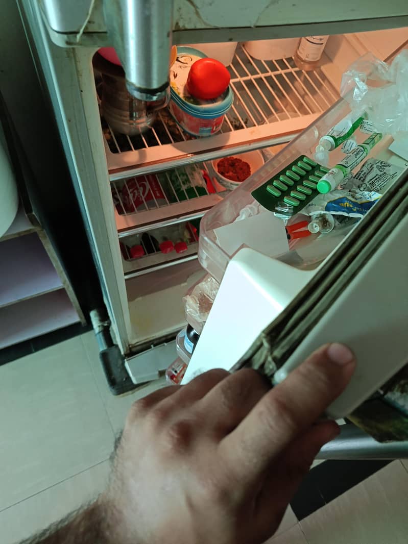 fridge 2