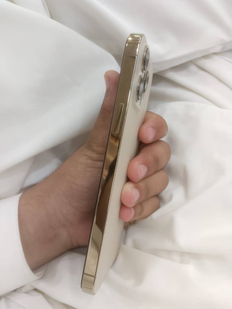 Apple iPhone 13 Pro Max 1