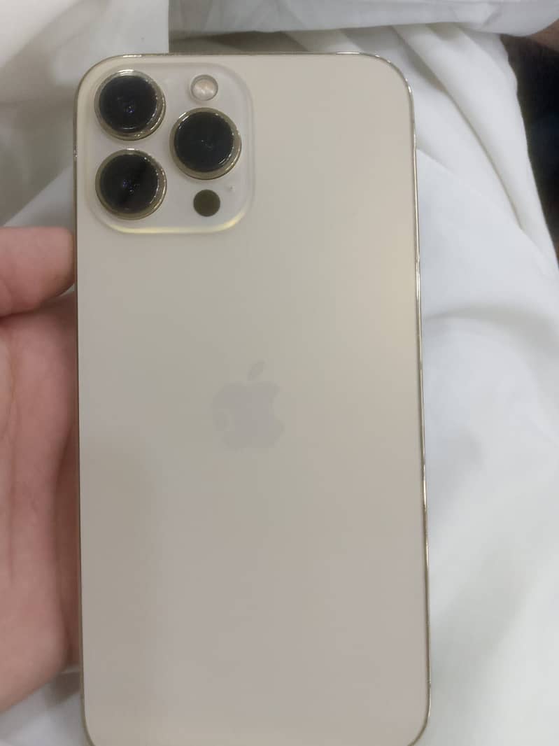 Apple iPhone 13 Pro Max 2