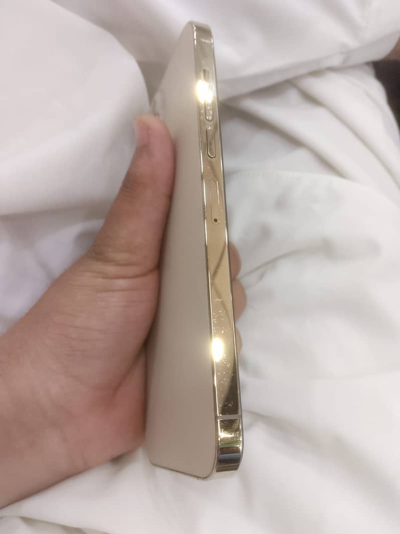 Apple iPhone 13 Pro Max 3