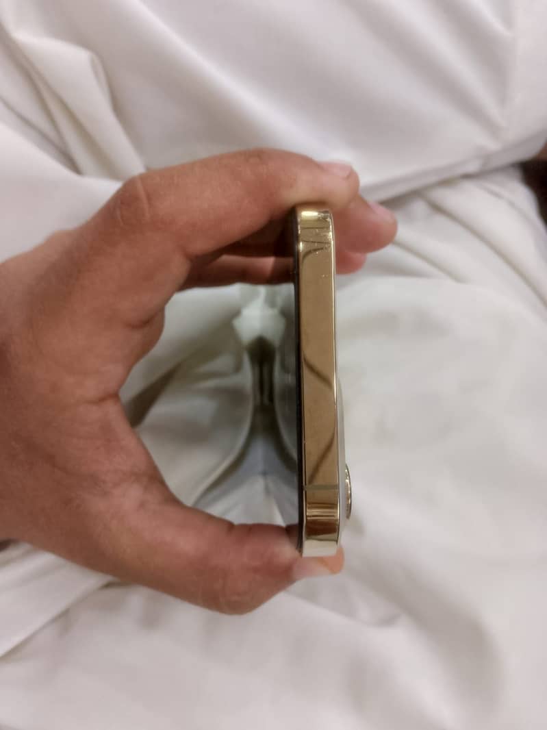 Apple iPhone 13 Pro Max 4