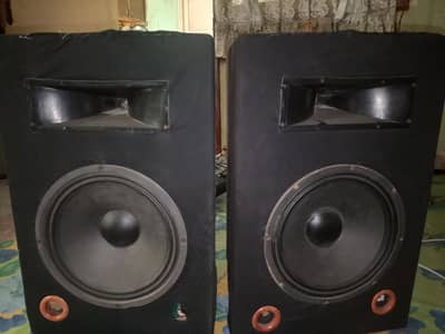 12inch Speaker pair hai