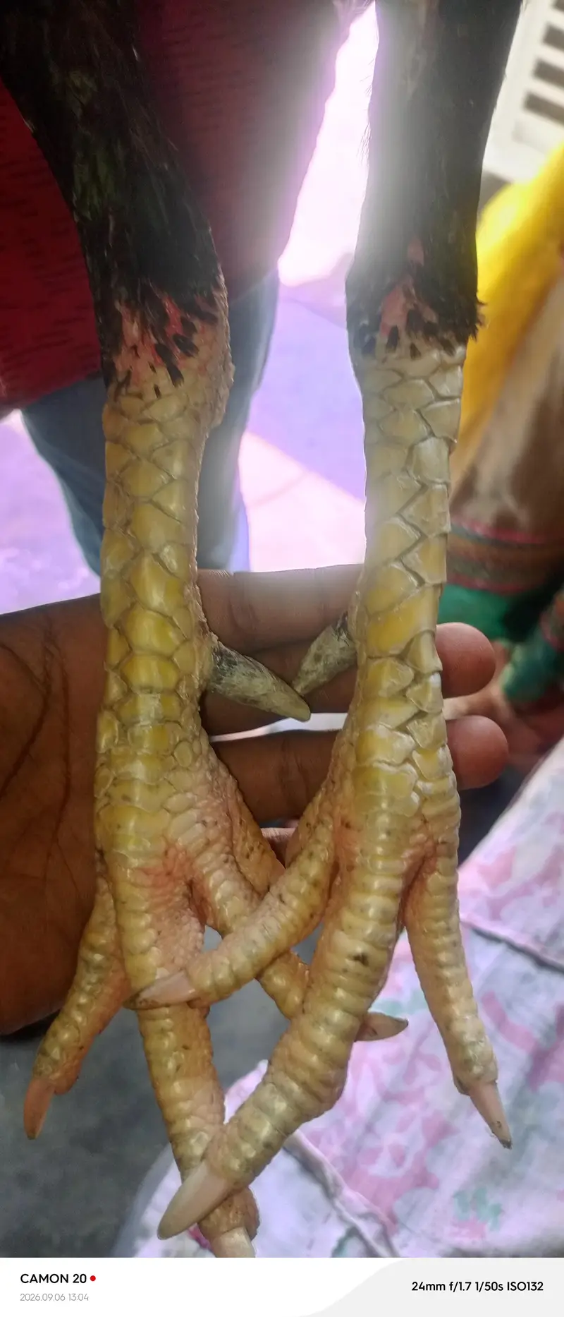 seal mushka Chaurasiya — photo 2