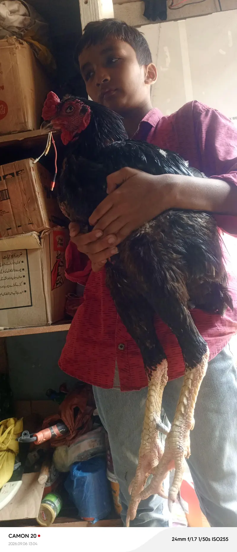 seal mushka Chaurasiya — photo 4