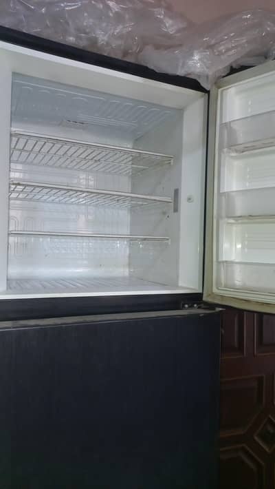 jumbo size  freezer