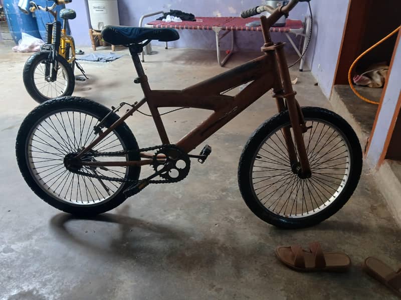 Morgan cycle 2