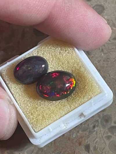 Real Black Opal