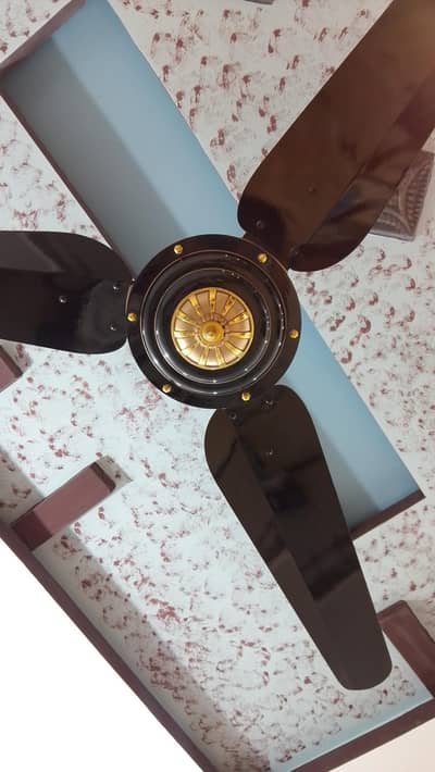 black fan