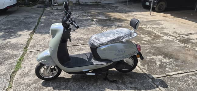Liza electric Bike huaguan Lithium Battery
