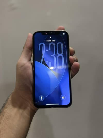 iPhone 12 Pro |Factory unlocked|