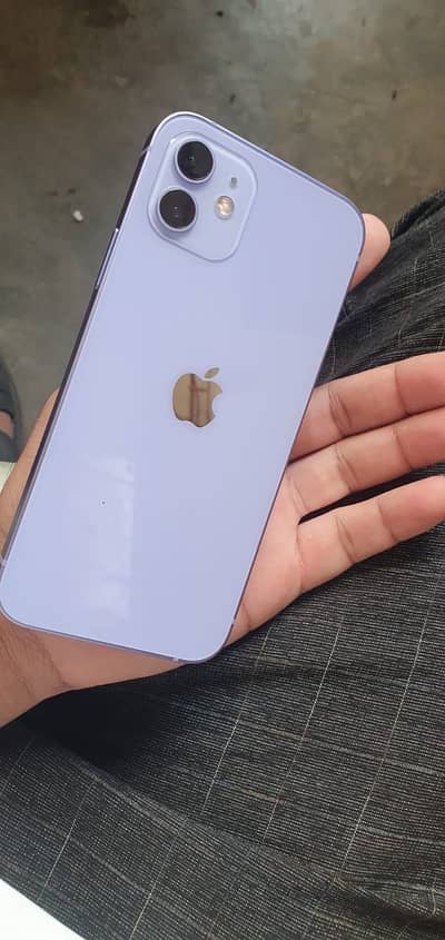 Apple iPhone 12