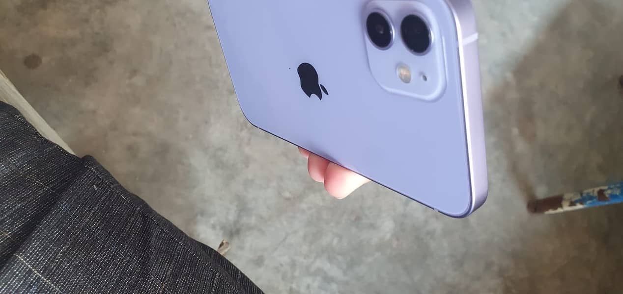 Apple iPhone 12 1