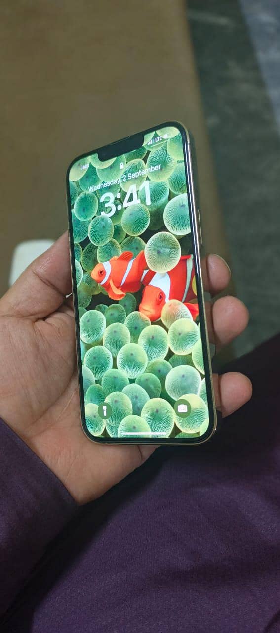 Apple iPhone 13 Pro 0