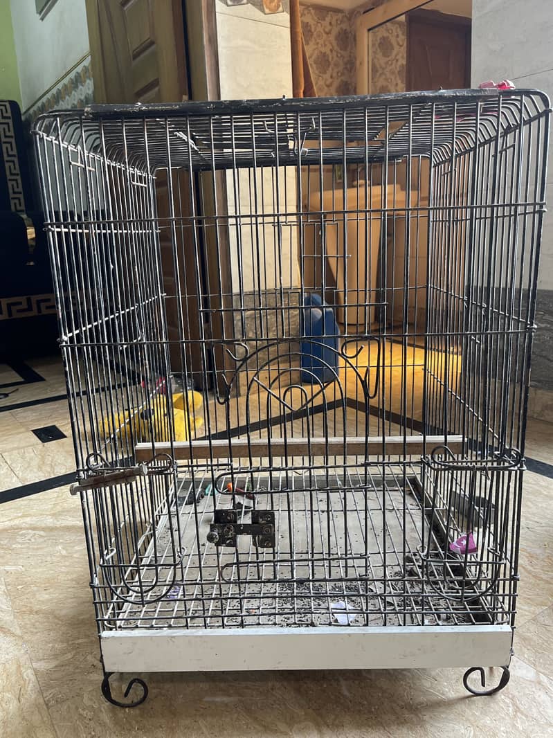 Cage raw 1