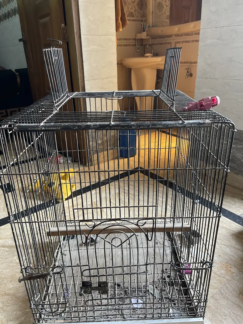 Cage raw — photo 3